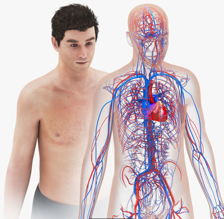 Symptoms in bed that could signal high cholesterol and clogged arteries.